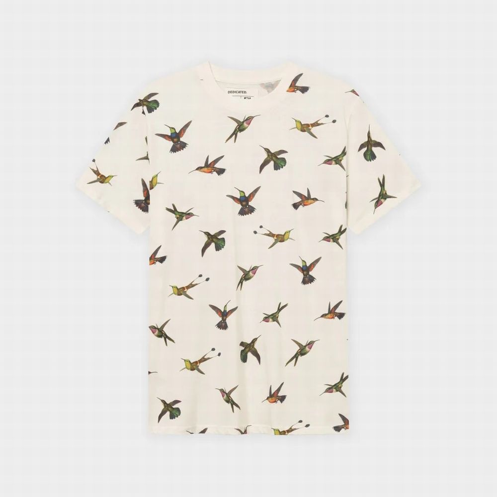 Stockholm Hummingbirds (Dedicated)