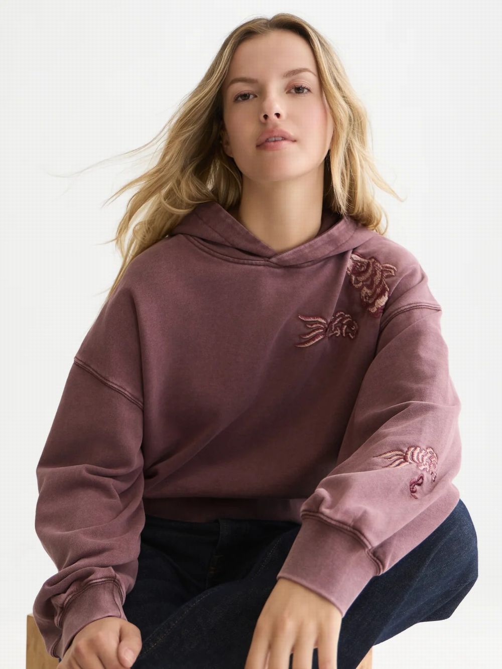 Washed embroidered relax (Scotch&Soda)